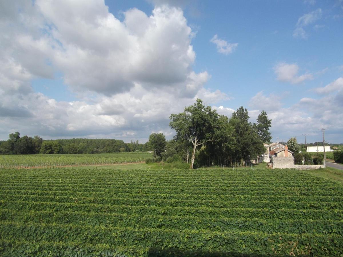 Scott Vacances Chambres D'Hotes Gondeville Jarnac Exterior foto